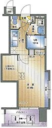 アクタス薬院大通り 9階/-