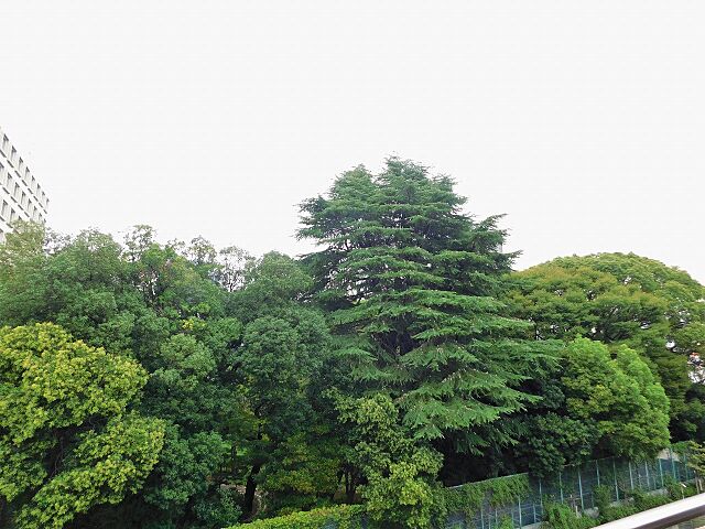 バルコニー 麻布台パークハウス 9階/-