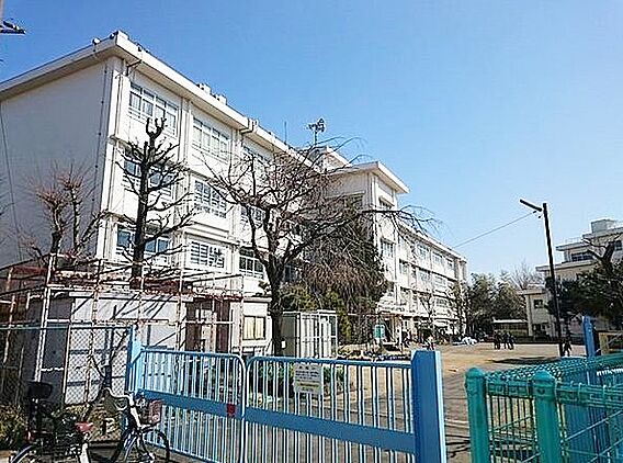 白幡台小学校ま...