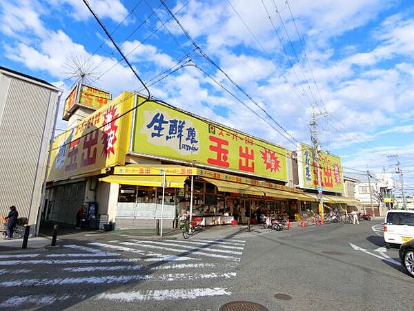 画像8:【スーパー】スーパー玉出　信太山店まで1134ｍ