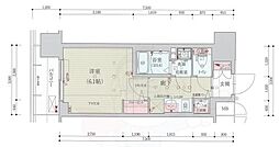 ベラジオレガシー葛野大路八条 8階/-