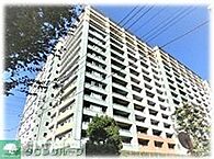 埼玉県さいたま市中央区上落合7丁目7-40：物件画像／株式会社タウンハウジング埼玉　東大宮店