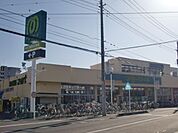 マミーマート東大宮店 542m