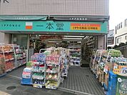 ドラッグストア一本堂東長崎店 779m