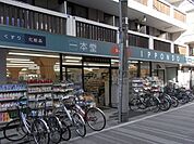 ドラッグストア一本堂都立家政店 573m
