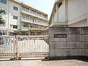 三郎丸小学校(238m)