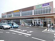TSUTAYAサンリブきふね店(725m)