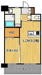 アクシオ三萩野 7階