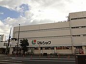 マルショク白銀店(910m)
