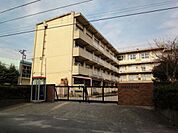 松戸市立第六中学校 1150m