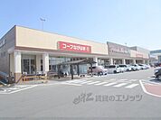 コープ　ながはま店まで650メートル