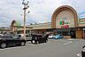周辺：ドミー小坂井店（1120m）