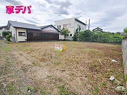 新城市字向野　売地
