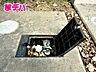 外観：洗車や外まわりの掃除にも活用できる散水栓が設置されています
