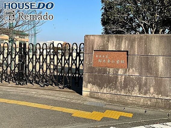 桜木東小学校 ...