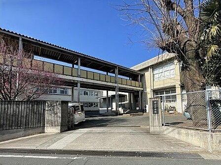 帯山中学校【帯山中学校】 1010m