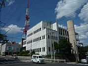 KTS鹿児島テレビ（50m）