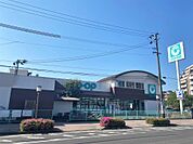 コープ荒田店（180m）