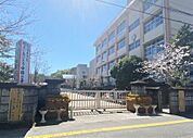 中郡小学校（587m）