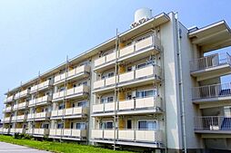 JR北陸本線 田村駅 徒歩35分の賃貸マンション