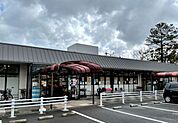 フレスコ向陽店