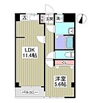 セレストのイメージ