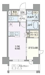 ライトテラス浅草 6階/-