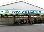 ドラッグセイムス原山店 913m