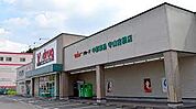 V・drug 守山吉根店（400m）