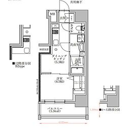 TENAS 1DKの間取図画像