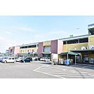 ショッピングセンター「アピタ江南西店まで1079ｍ」