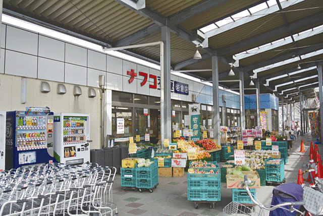 スーパー「ナフコ不二屋岩倉店まで202ｍ」