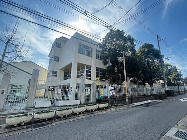 画像29:【小学校】神戸市立こうべ小学校まで324ｍ
