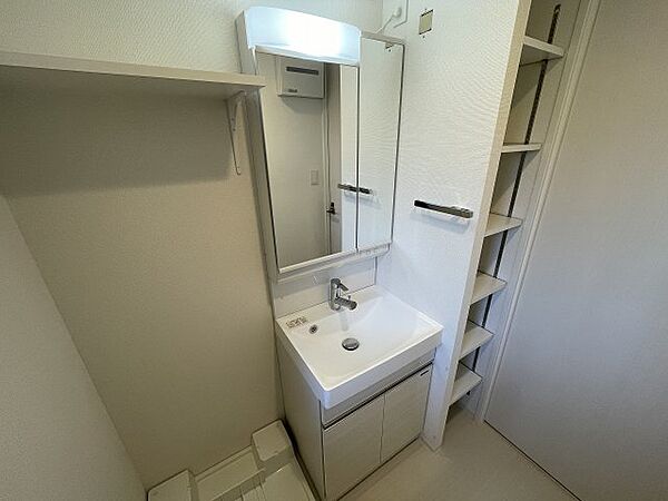 画像8:スペースが確保できる洗面所です