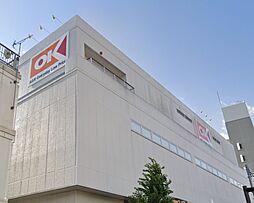 グレイス　カメリア