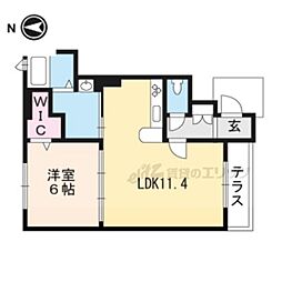 プルニエール