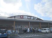コーナン　篠山店まで4600メートル