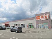 ザ・ビッグエクストラ　氷上店まで850メートル