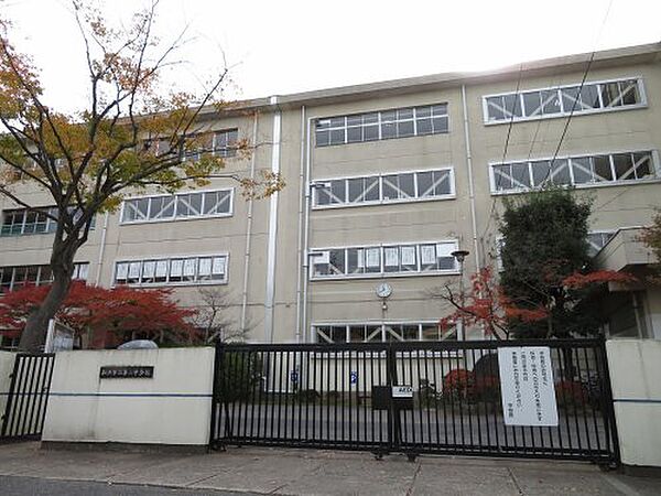 画像11:【中学校】松戸市立第三中学校まで1277ｍ