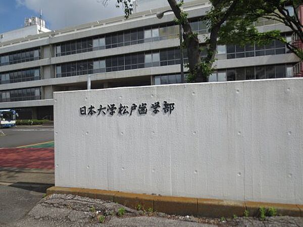 画像5:【大学】私立日本大学松戸歯学部まで1014ｍ
