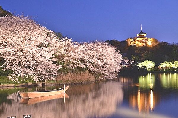 神奈川県横浜市中区本牧間門(賃貸アパート1R・2階・14.28㎡)の写真 その25