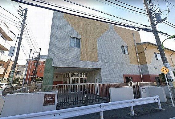 東京都市大学二...