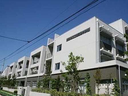 世田谷区立世田谷中学校 310m