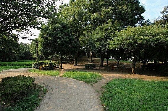 次大夫堀公園 ...