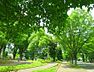 周辺：駒沢公園 470m