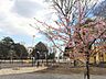 周辺：下馬中央公園 620m