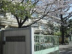世田谷区立多聞小学校 810m
