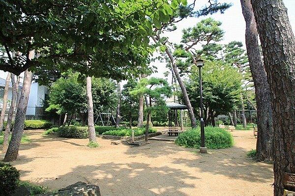 周辺を拡大表示