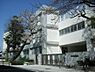 周辺：世田谷区立三宿小学校 550m