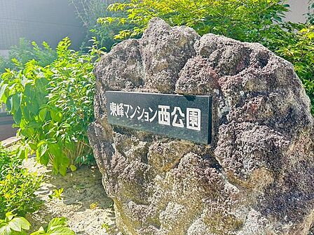 ☆現地【2026年8月】撮影☆